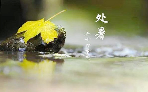 处暑已至，彩钢焕新