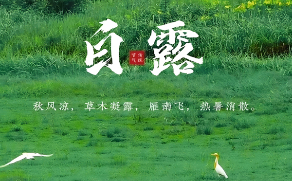 加查白露润秋，致兴立群与您共筑坚固未来